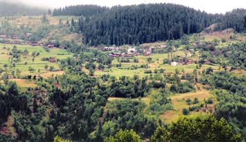 Zios - Tepebaşı