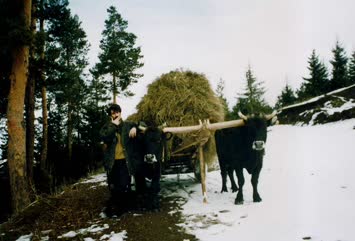 Özkan Durmuş