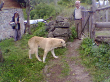 Veliköy