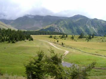 bozkaya/taşlıyayla