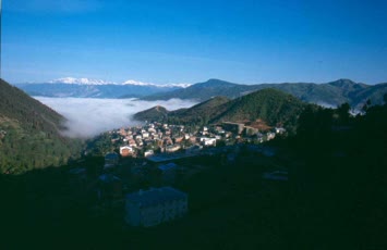 Ali Kaya