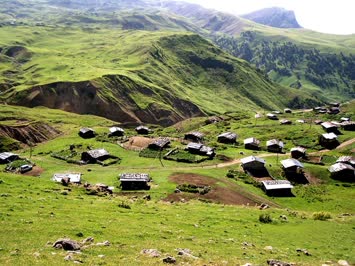 Yayla