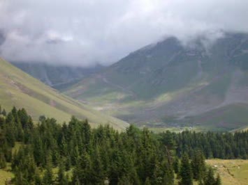 taşlıyayla