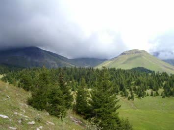 gülgülüpert