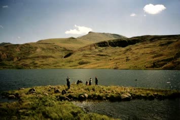 Sezgin Yıldız