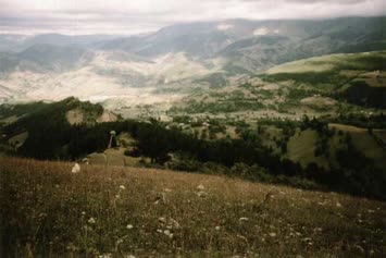 Colot / Karaağaç