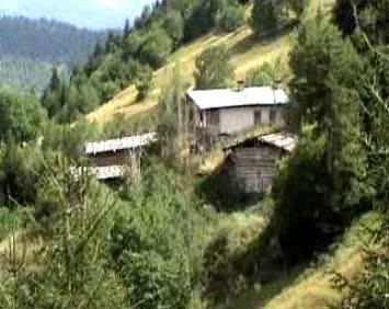 nazim sivrikaya