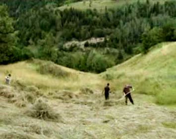 Sivrikaya