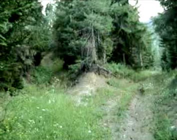 katirvanların yolu