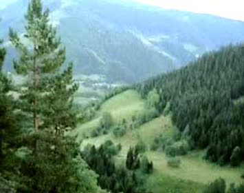 Hamlar-Kara Meşa
