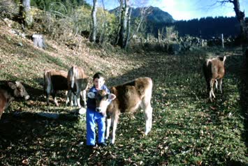 Aşağı Koyunlu (Süles) Köyü