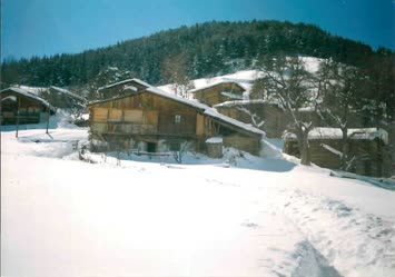 Murat Taban