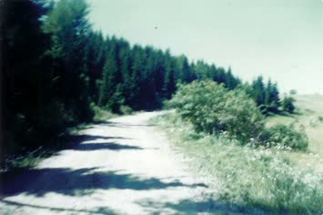 Çoraklı