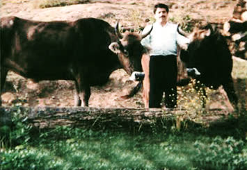 Mubin ENİŞ’in hayvan sevgisi 1994