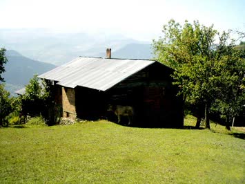 Ömer Özer