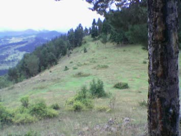 Sığamlat