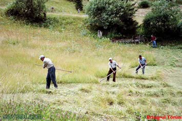 Ertuğrul Törün Galeri