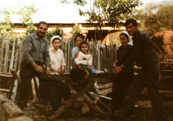üçarmutlarda çayır biçerken/Hızarla odun keserken