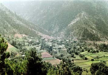 Sebzeli