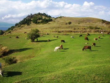Savaş köyü