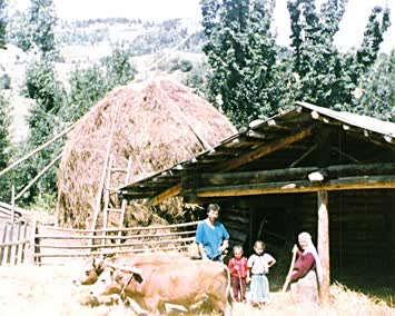 Ahaldaba