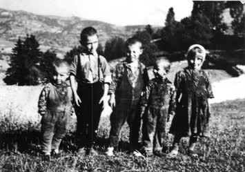 ahmet kızılaltun,ali kızılaltun,şadi kizilaltun,mehmet kızılaltun.şadiye kızılaltun
