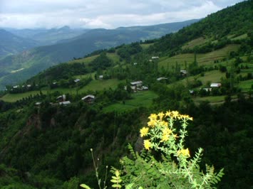 Şavul Mahallesi - Tepeköy