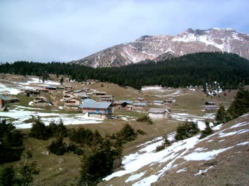 2005 Sonbahar Suloban Resimleri