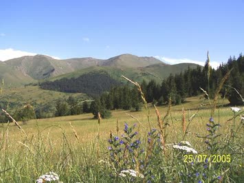 Arpali Asagi Yayla
