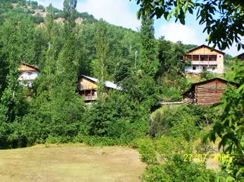 Arpali Savahil