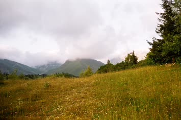 Gülgülüpert / 2005
