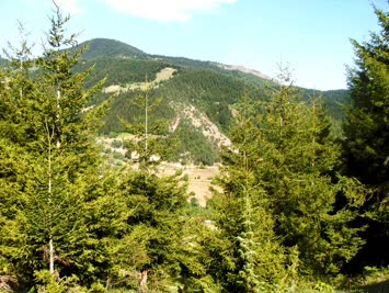 Gökhan