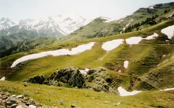Bazgiret - 2002