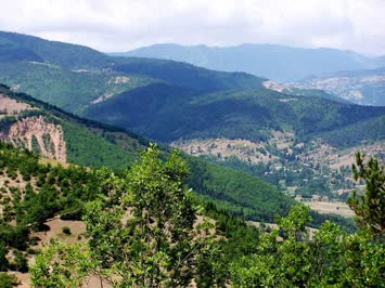 Şener Şavşatlı-Ankliya/Dalkirmaz
