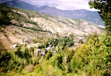 Ankliya Galeri