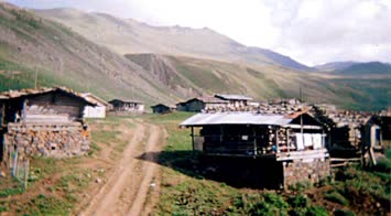 Volkan Koşar