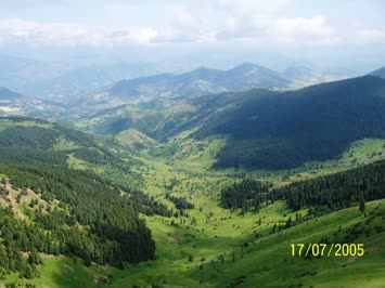 Şener Şavşatlı-Yayla çayırları