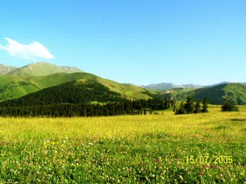 Hanlı