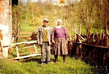 Sinkotlular