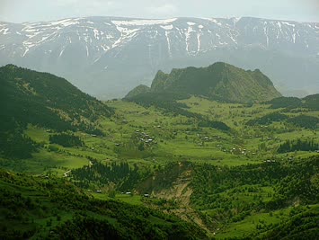 Serdar Sancar