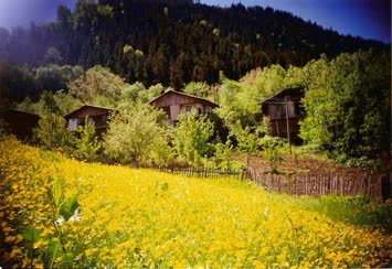 Şavşat Kireçli Köyü