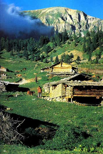 Kışla