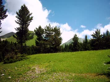 Sloban 1