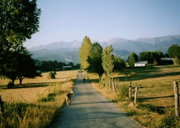 Kocabey