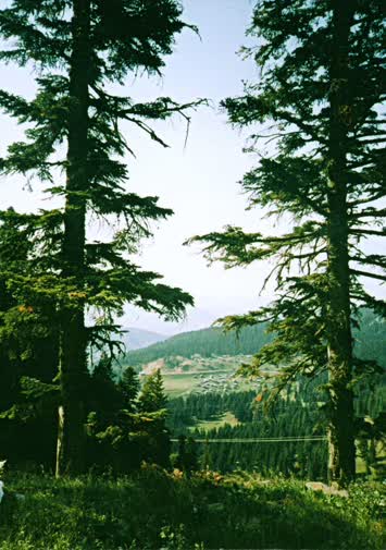 Kocabey