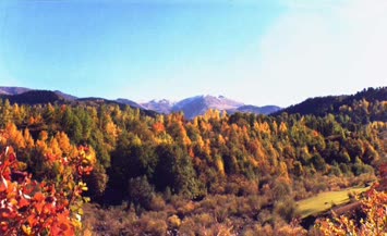 Şener Şavşatlı-Sonbahar 1995