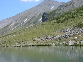 Uygar Altunal