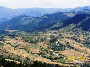 Şener Şavşatlı-Yavuzköy