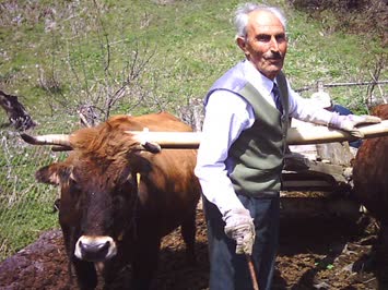 Ali Kara Galeri