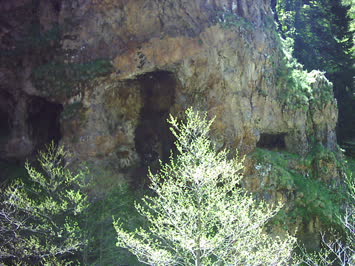 Köbizera